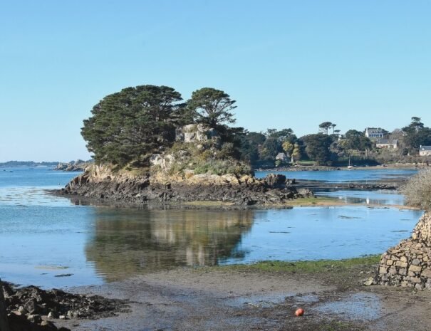 Petite île côte Paimpol